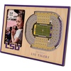 LSU Tigers