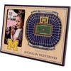 Michigan Wolverines