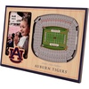 Auburn Tigers