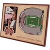 Mississippi State Bulldogs