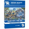 Kentucky Wildcats