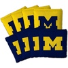 Michigan Wolverines