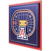 Arizona Wildcats