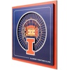 Illinois Fighting Illini