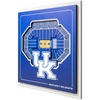 Kentucky Wildcats