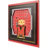 Maryland Terrapins