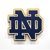 image:imageYouTheFan NCAA 3D DieCut Wall Art precisioncrafted and lasercut in the exact shape of your teams logo multiple layers create striking depth readytohang and officially licensedNotre Dame Fighting Irish