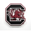 image:imageYouTheFan NCAA 3D DieCut Wall Art precisioncrafted and lasercut in the exact shape of your teams logo multiple layers create striking depth readytohang and officially licensedSouth Carolina Gamecocks