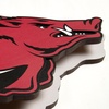 image:imageYouTheFan NCAA 3D DieCut Wall Art precisioncrafted and lasercut in the exact shape of your teams logo multiple layers create striking depth readytohang and officially licensedArkansas Razorbacks