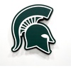 image:imageYouTheFan NCAA 3D DieCut Wall Art precisioncrafted and lasercut in the exact shape of your teams logo multiple layers create striking depth readytohang and officially licensedMichigan State Spartans