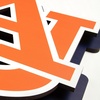 image:imageYouTheFan NCAA 3D DieCut Wall Art precisioncrafted and lasercut in the exact shape of your teams logo multiple layers create striking depth readytohang and officially licensedAuburn Tigers