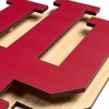 image:imageYouTheFan NCAA 3D DieCut Wall Art precisioncrafted and lasercut in the exact shape of your teams logo multiple layers create striking depth readytohang and officially licensedIndiana Hoosiers