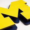 image:imageYouTheFan NCAA 3D DieCut Wall Art precisioncrafted and lasercut in the exact shape of your teams logo multiple layers create striking depth readytohang and officially licensedMichigan Wolverines