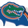 image:imageYouTheFan NCAA 3D Street Sign precisioncrafted readytohang wall art officially licensed and stylish addition for the ultimate team fanFlorida Gators
