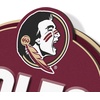 image:imageYouTheFan NCAA 3D Street Sign precisioncrafted readytohang wall art officially licensed and stylish addition for the ultimate team fanFlorida State Seminoles