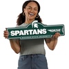 image:imageYouTheFan NCAA 3D Street Sign precisioncrafted readytohang wall art officially licensed and stylish addition for the ultimate team fanMichigan State Spartans
