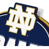 image:imageYouTheFan NCAA 3D Street Sign precisioncrafted readytohang wall art officially licensed and stylish addition for the ultimate team fanNotre Dame Fighting Irish