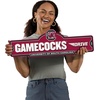 image:imageYouTheFan NCAA 3D Street Sign precisioncrafted readytohang wall art officially licensed and stylish addition for the ultimate team fanSouth Carolina Gamecocks