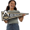 image:imageYouTheFan NCAA 3D Wall Pennant precisioncrafted unique shape made of multiple layers readytohang officially licensed and stylish addition for ultimate team fanPurdue Boilermakers