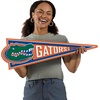 image:imageYouTheFan NCAA 3D Wall Pennant precisioncrafted unique shape made of multiple layers readytohang officially licensed and stylish addition for ultimate team fanFlorida Gators