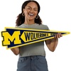 image:imageYouTheFan NCAA 3D Wall Pennant precisioncrafted unique shape made of multiple layers readytohang officially licensed and stylish addition for ultimate team fanMichigan Wolverines
