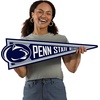 image:imageYouTheFan NCAA 3D Wall Pennant precisioncrafted unique shape made of multiple layers readytohang officially licensed and stylish addition for ultimate team fanPenn State Nittany Lions