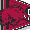 image:imageYouTheFan NCAA 3D Wall Pennant precisioncrafted unique shape made of multiple layers readytohang officially licensed and stylish addition for ultimate team fanArkansas Razorbacks