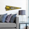 image:imageYouTheFan NCAA 3D Wall Pennant precisioncrafted unique shape made of multiple layers readytohang officially licensed and stylish addition for ultimate team fanIowa Hawkeyes