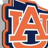 image:imageYouTheFan NCAA 3D Wall Pennant precisioncrafted unique shape made of multiple layers readytohang officially licensed and stylish addition for ultimate team fanAuburn Tigers