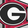 image:imageYouTheFan NCAA 3D Wall Pennant precisioncrafted unique shape made of multiple layers readytohang officially licensed and stylish addition for ultimate team fanGeorgia Bulldogs
