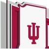 image:imageYouTheFan NCAA 3D Wall Pennant precisioncrafted unique shape made of multiple layers readytohang officially licensed and stylish addition for ultimate team fanIndiana Hoosiers