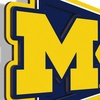 image:imageYouTheFan NCAA 3D Wall Pennant precisioncrafted unique shape made of multiple layers readytohang officially licensed and stylish addition for ultimate team fanMichigan Wolverines