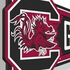 image:imageYouTheFan NCAA 3D Wall Pennant precisioncrafted unique shape made of multiple layers readytohang officially licensed and stylish addition for ultimate team fanSouth Carolina Gamecocks