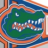 image:imageYouTheFan NCAA 3D Wall Pennant precisioncrafted unique shape made of multiple layers readytohang officially licensed and stylish addition for ultimate team fanFlorida Gators
