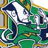 image:imageYouTheFan NCAA 3D Wall Pennant precisioncrafted unique shape made of multiple layers readytohang officially licensed and stylish addition for ultimate team fanNotre Dame Fighting Irish