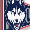 image:imageYouTheFan NCAA Connecticut Huskies 3D Wall Pennant precisioncrafted unique shape made of multiple layers readytohang officially licensed