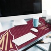 image:imageYouTheFan NCAA Florida State Seminoles Logo Series Desk Pad SMU