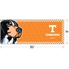 image:imageYouTheFan NCAA Tennessee Volunteers Logo Series Desk Pad SMU