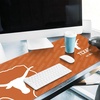image:imageYouTheFan NCAA Texas Longhorns Logo Series Desk Pad SMU