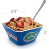image:imageYouTheFan Officiallylicensed NCAA Small Snack Bowl  100 Melamine dishwasher safe BPA free  Fan gift for snacks appetizers and other small bitesFlorida Gators