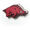Arkansas Razorbacks