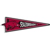 Arkansas Razorbacks