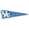 Kentucky Wildcats