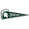 Michigan State Spartans