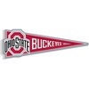 image:imageYouTheFan NCAA 3D Wall Pennant precisioncrafted unique shape made of multiple layers readytohang officially licensed and stylish addition for ultimate team fanOhio State Buckeyes