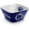 Penn State Nittany Lions