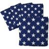 image:imageYouTheFan Set of 4 Cornhole Bags  All Weather Regulation 6 x 6 Size  16oz Weight  Designed in USAOne Size
