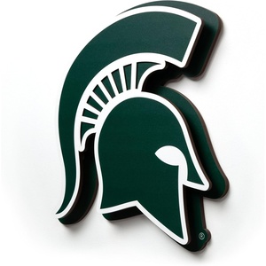 image:imageYouTheFan NCAA 3D DieCut Wall Art precisioncrafted and lasercut in the exact shape of your teams logo multiple layers create striking depth readytohang and officially licensedMichigan State Spartans