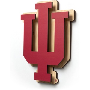 image:imageYouTheFan NCAA 3D DieCut Wall Art precisioncrafted and lasercut in the exact shape of your teams logo multiple layers create striking depth readytohang and officially licensedIndiana Hoosiers