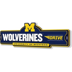 image:imageYouTheFan NCAA 3D Street Sign precisioncrafted readytohang wall art officially licensed and stylish addition for the ultimate team fanMichigan Wolverines